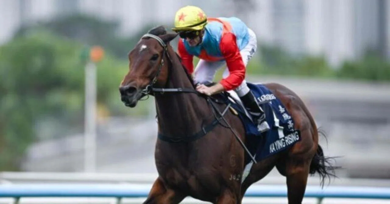 結果編】香港スプリント2025：衝撃の16連勝！ 絶対王者カーイン