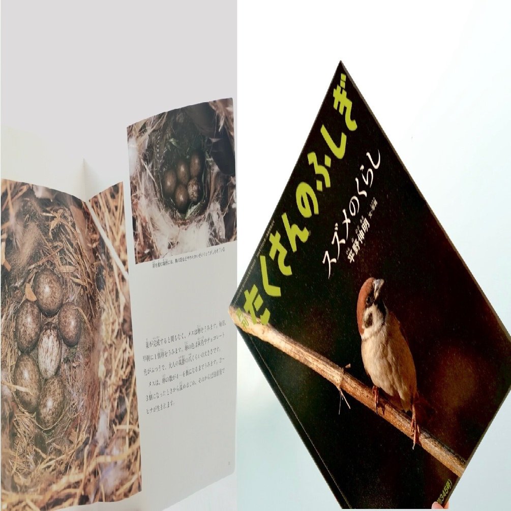 スズメページ にっぽんスズメしぐさ - 株式会社カンゼン