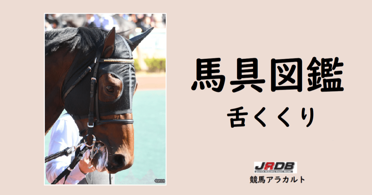 JRDB馬具図鑑～舌くくり～｜JRDB 競馬アラカルト
