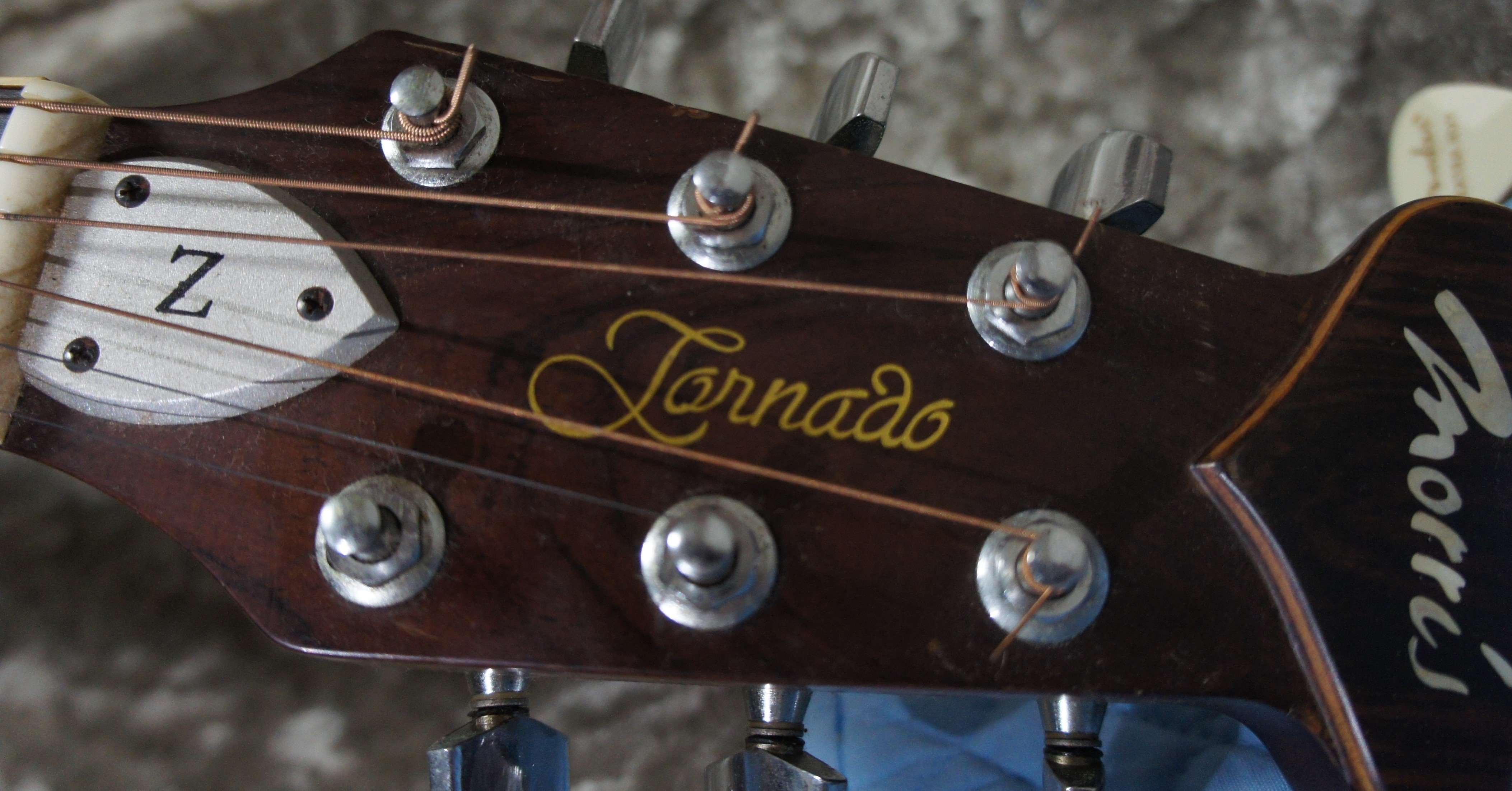 Morris Tornado Z|シンイチロー Morris Tornado Z|シンイチロー