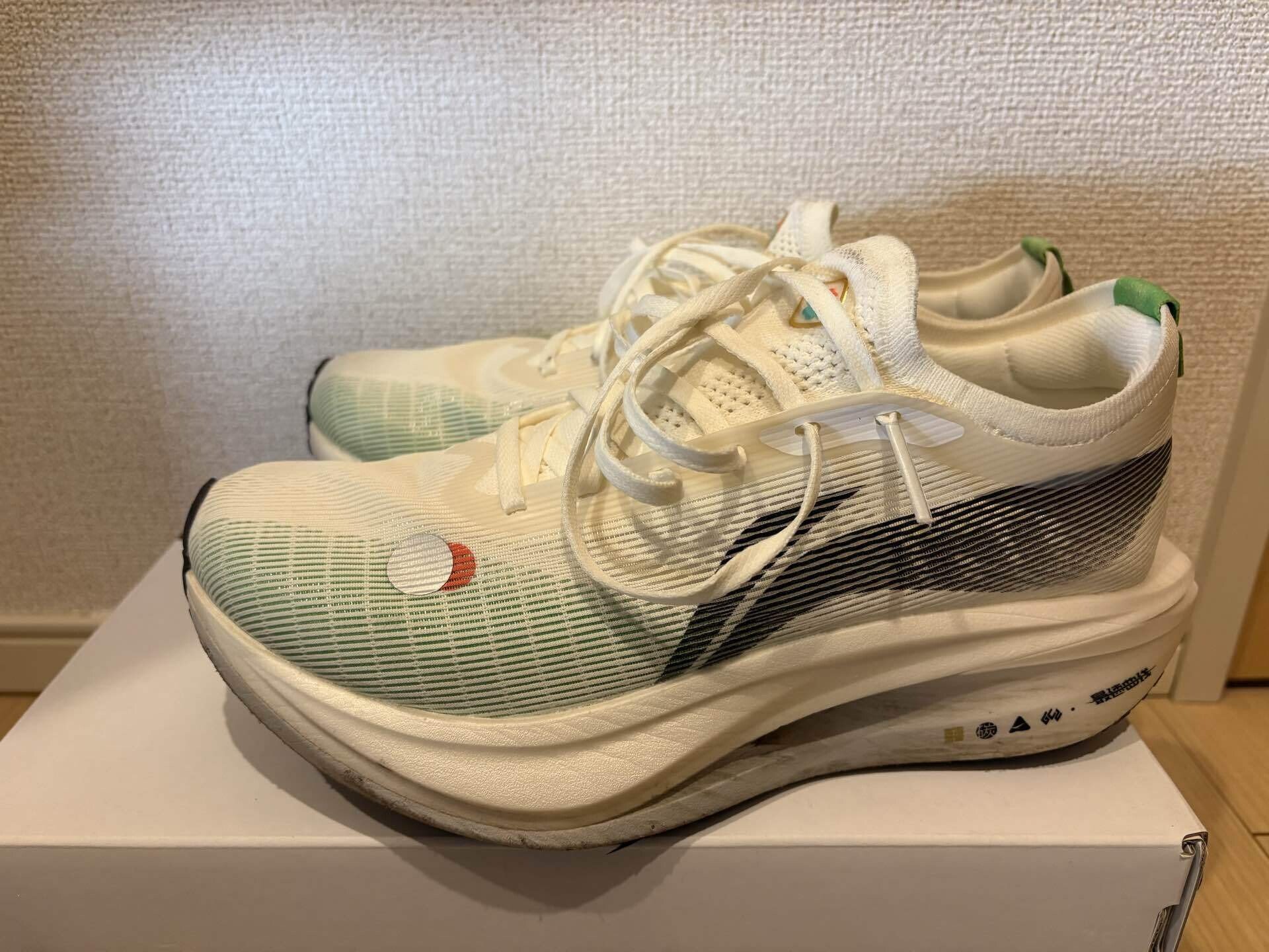 実走70km】LI-NING FEIDIAN 5 ELITEのシューズレビュー｜リヴァイ