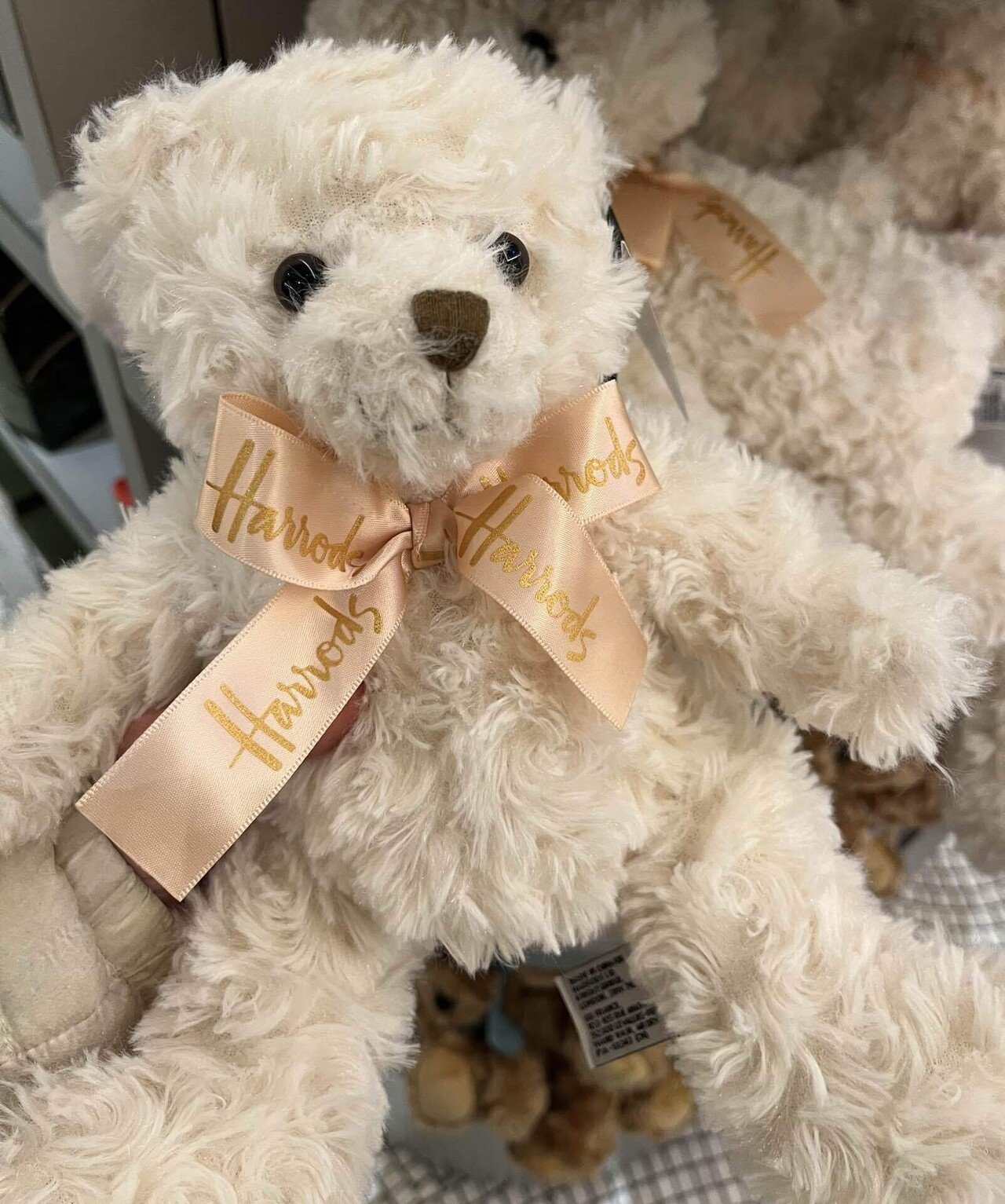 テディベアを買うならハロッズへ！｜水乃