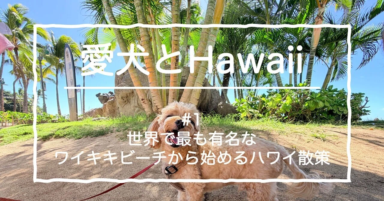 naonao　ワンちゃんとビーチでお散歩 〜ハワイ編【うちの子 愛犬】 naonao様専用 ワンちゃんとビーチでお散歩 〜ハワイ編【うちの子 愛犬】