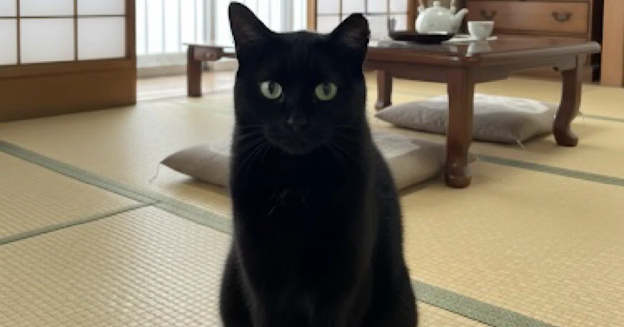 黒猫「あんこ」と過ごす一週間｜ちさほ｜_🖋️のんびり投稿中｜フォロバ100