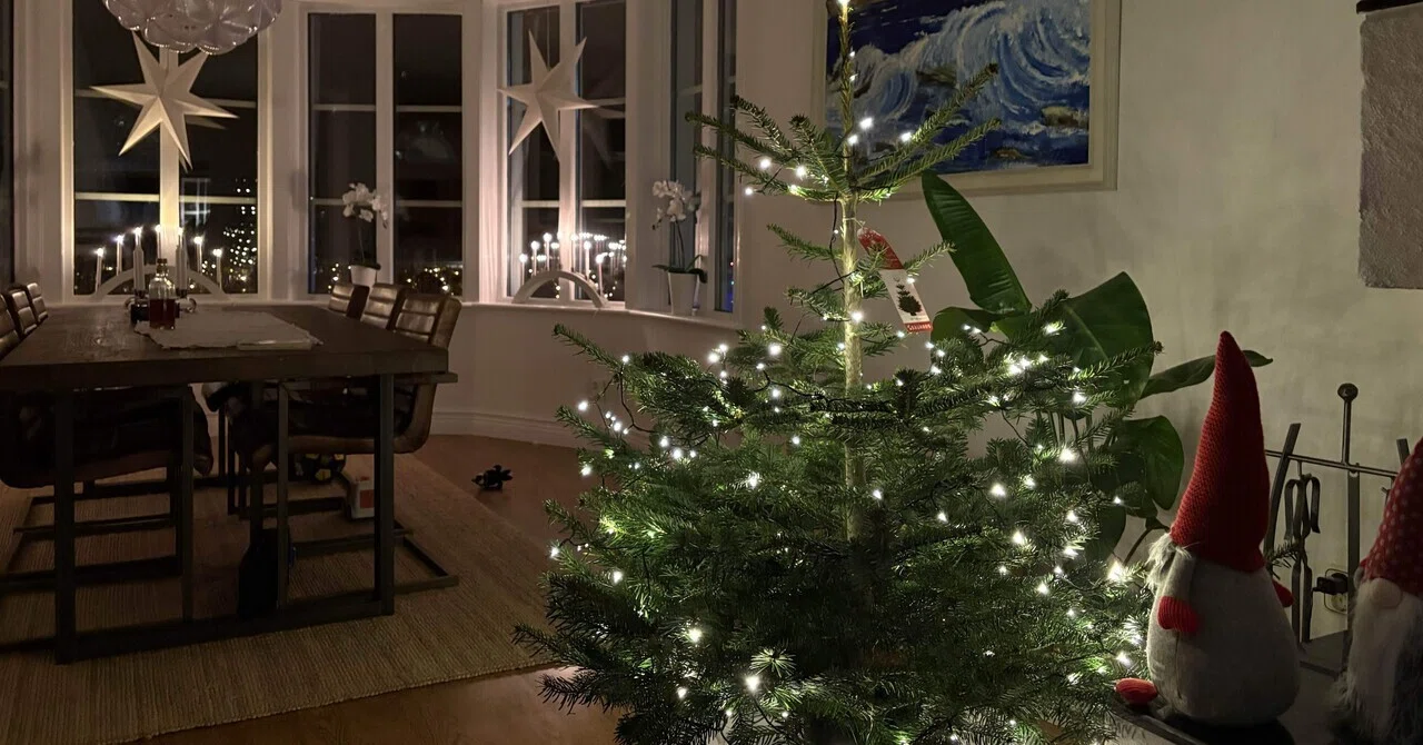 10 days before Christmas, I finally bought a Christmas tree｜Reina