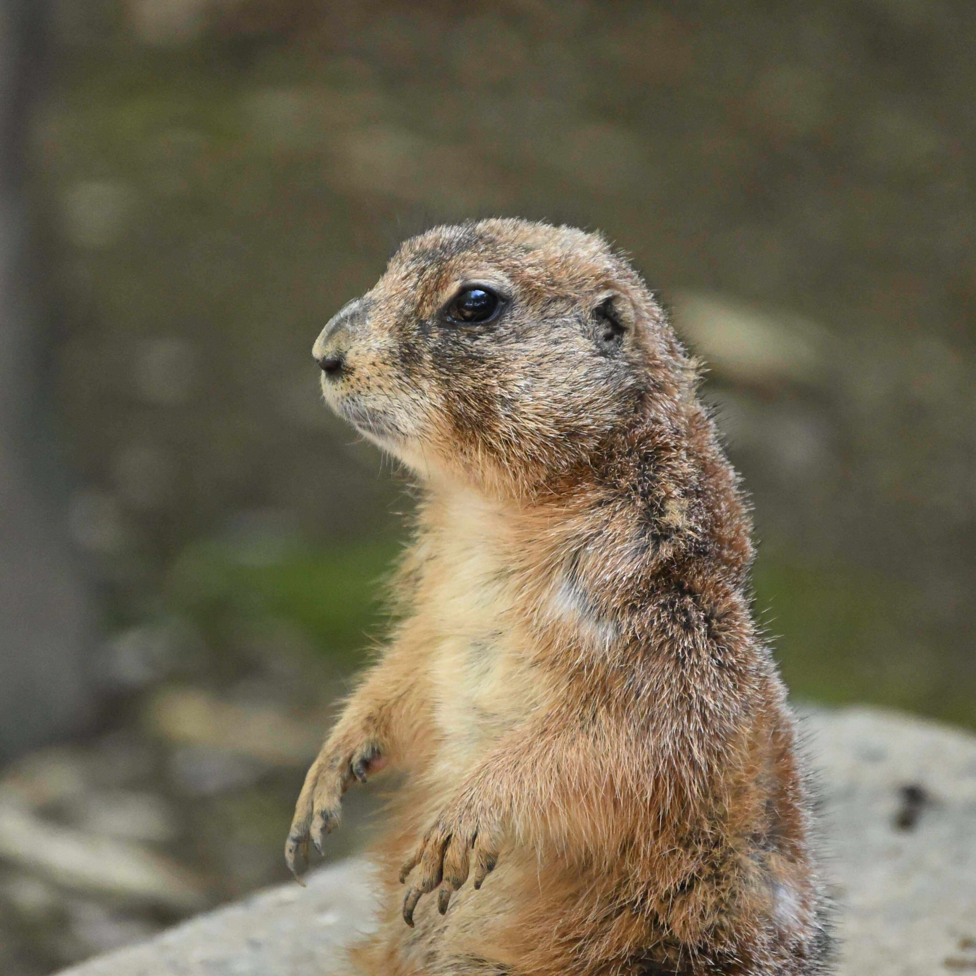 その辺にいるサラリーマン