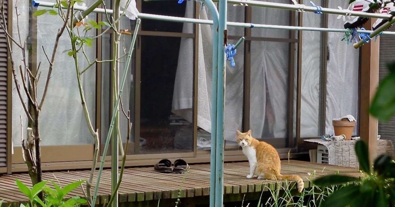 紙がなくなってしまうと慌ててスーパーやコンビニに殺到したあの騒ぎはと言うと きっかけ屋 Note