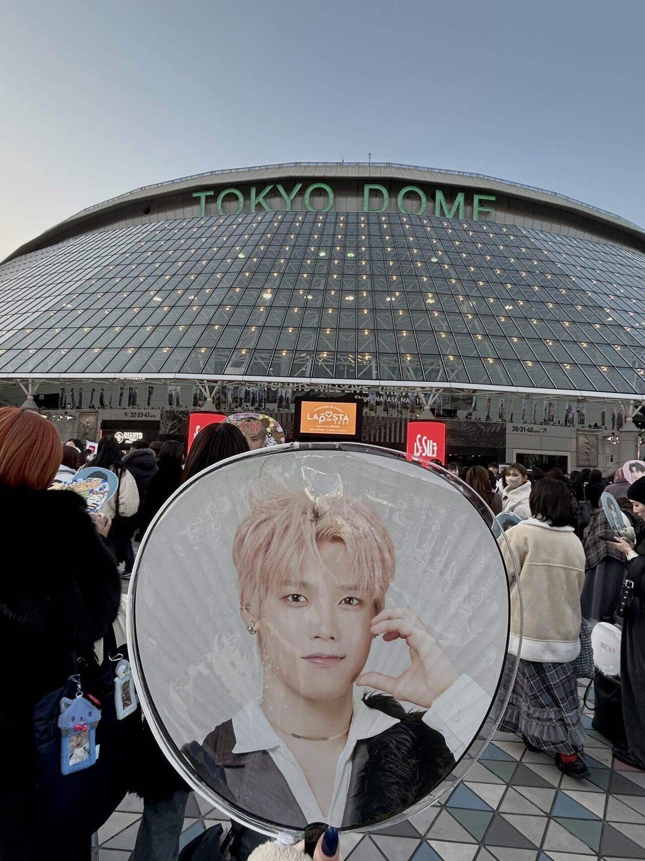 ひよっこオタクの2025年まとめ🌟｜(≡^.^≡)♪