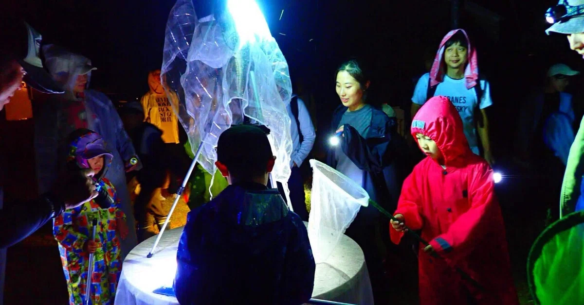 2025.08.09 Bug Observation Team Light Trap｜ブンダバー