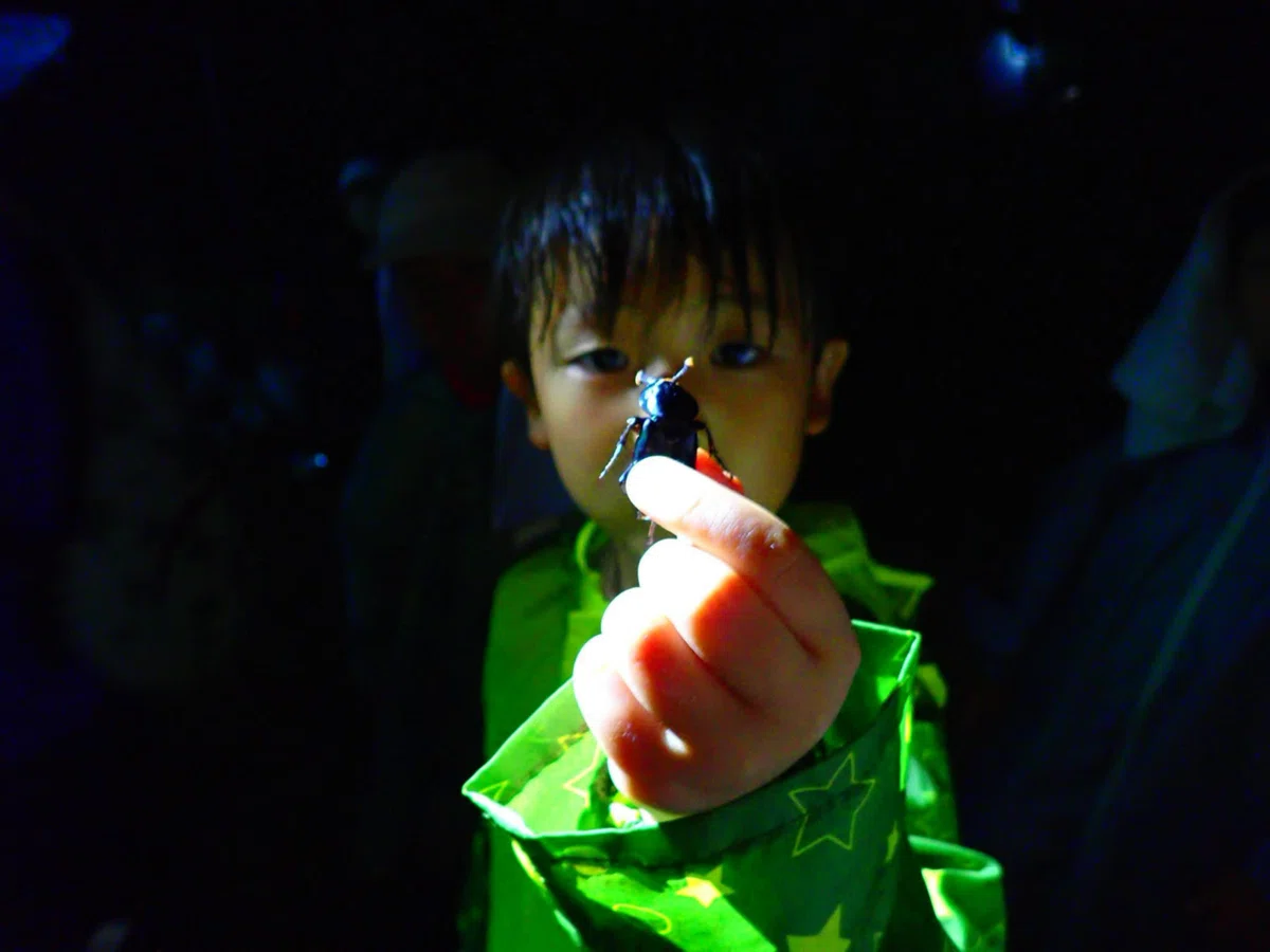 2025.08.09 Bug Observation Team Light Trap｜ブンダバー