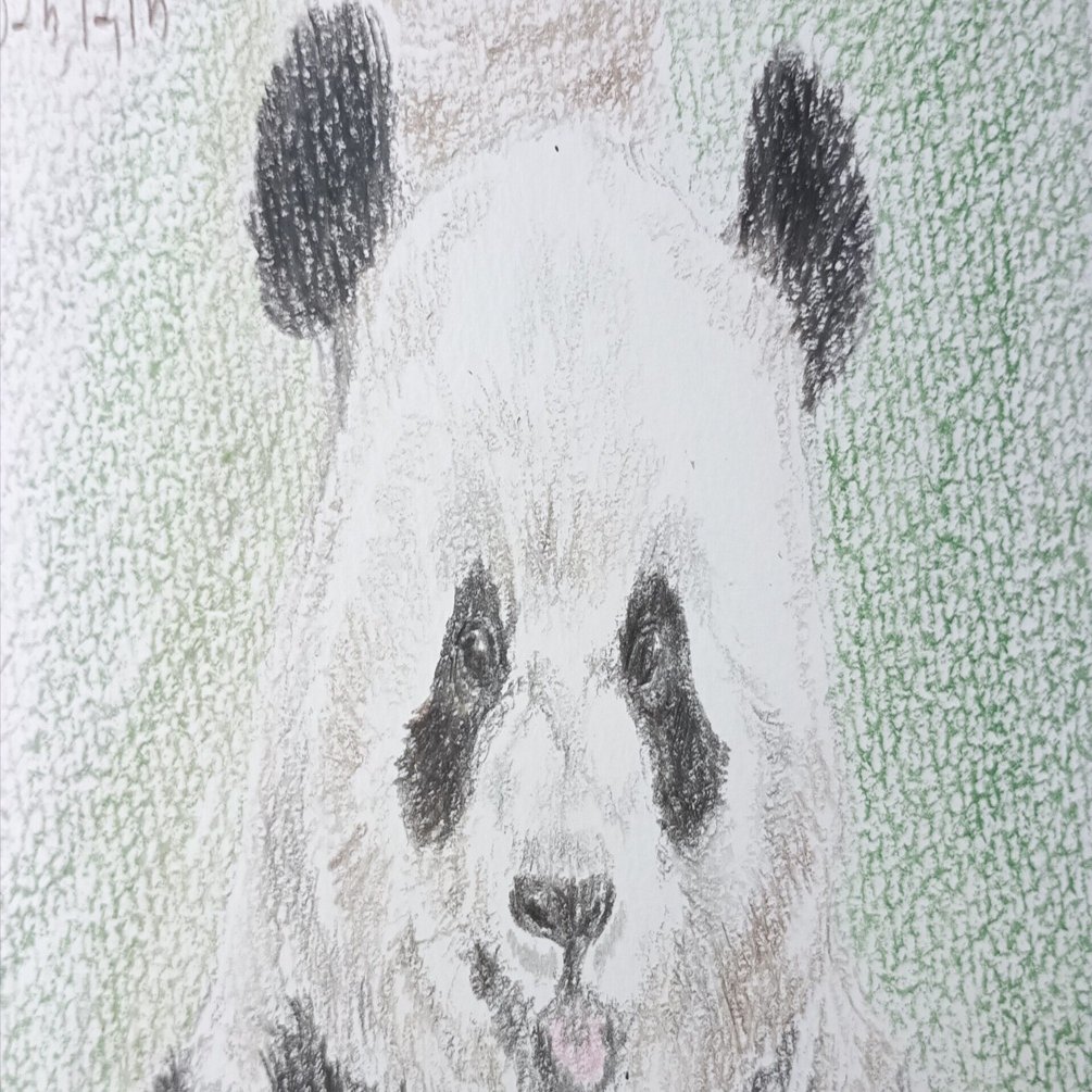 アーティストベア 作家 パンダ panda-only1.jpg