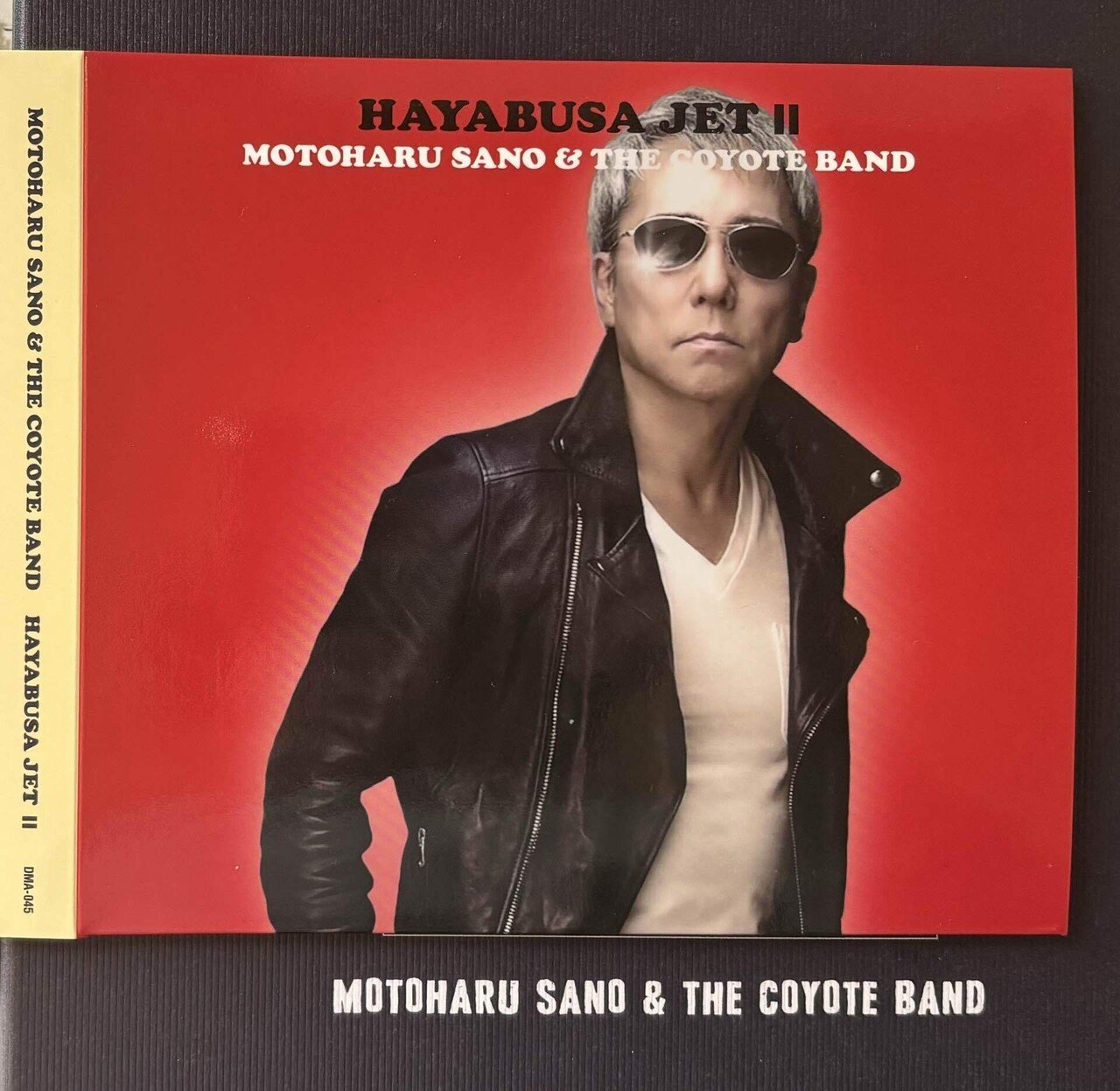 佐野元春 & THE COYOTE BAND HAYABUSA JET Ⅱ｜bluebeat