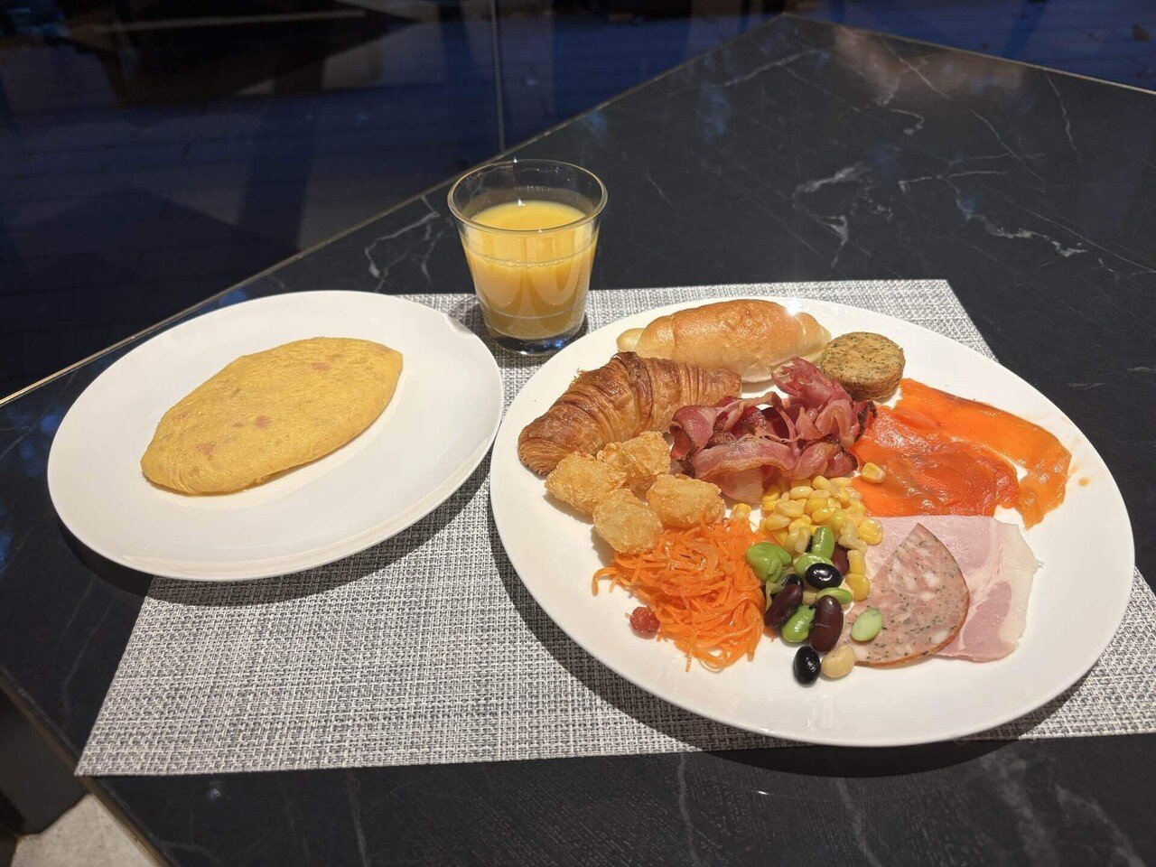 大阪→東京 帰宅の日記🚃｜monica🪸