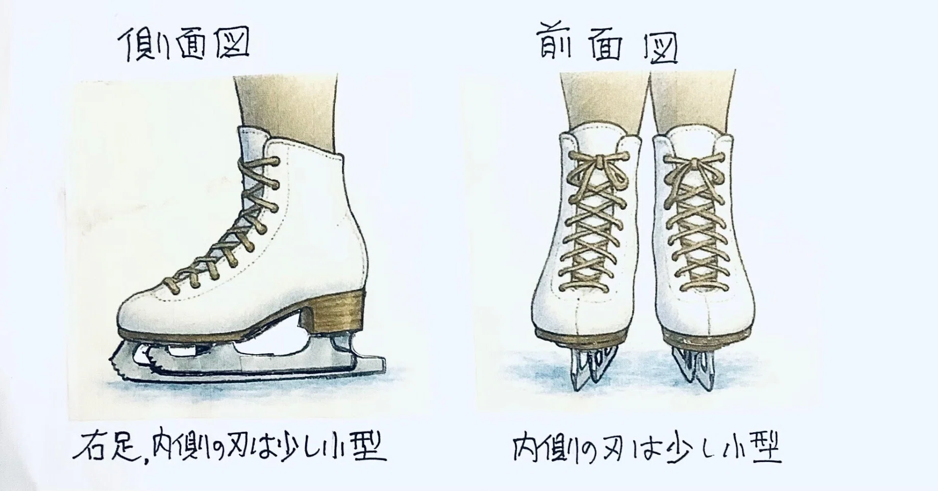 ダブルブレード アイススケート 靴 ーーー double blade ice skate 