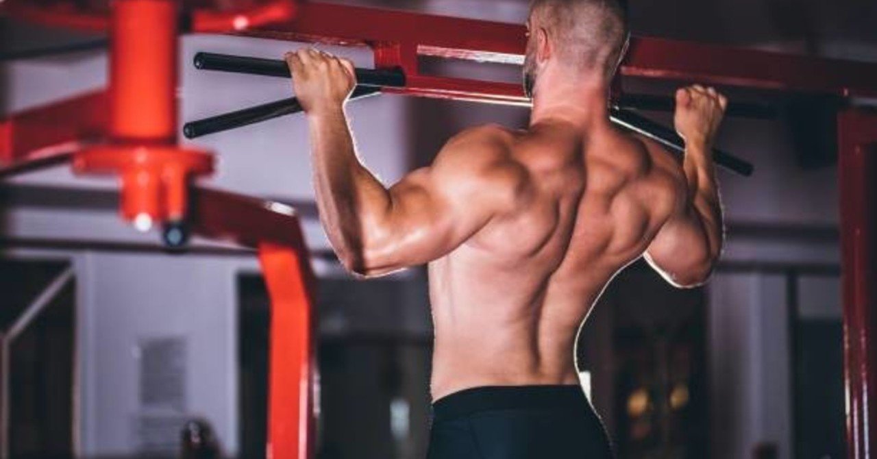 広背筋を鍛える 健康とモテボディを手に入れよう 服部 健太 Note 広背筋を鍛える 健康とモテボディを手に入れよう 服部 健太 Note