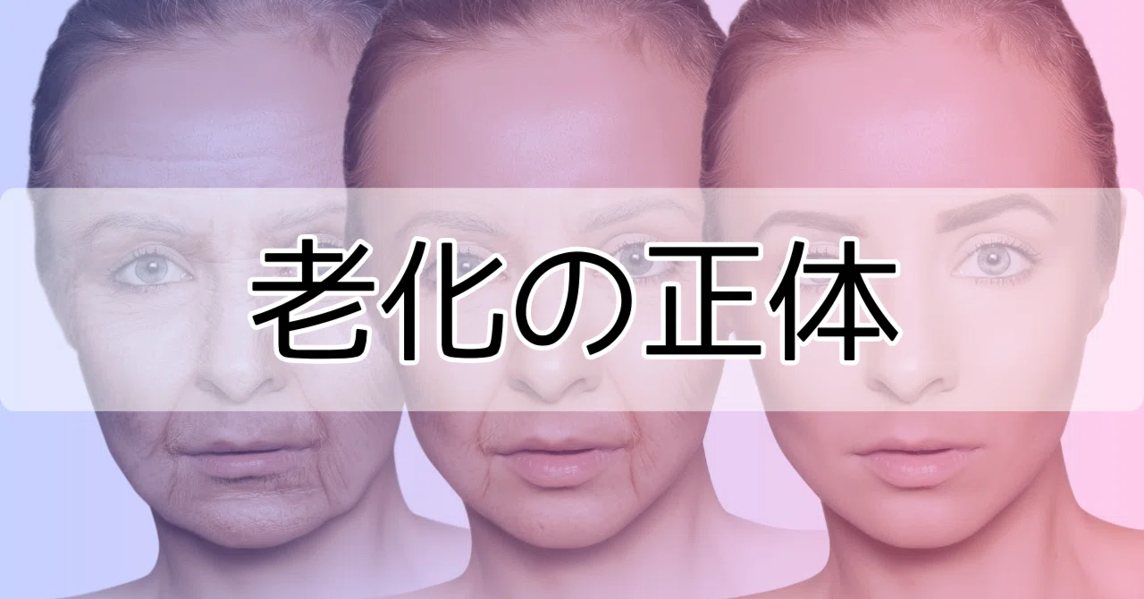 老化の原因は「年齢」じゃない。多くの人が見落としている、たった一つのこと。|妊活・体外受精サポートの専門家 くくる鍼灸院/不妊鍼灸師|渡辺辰也
