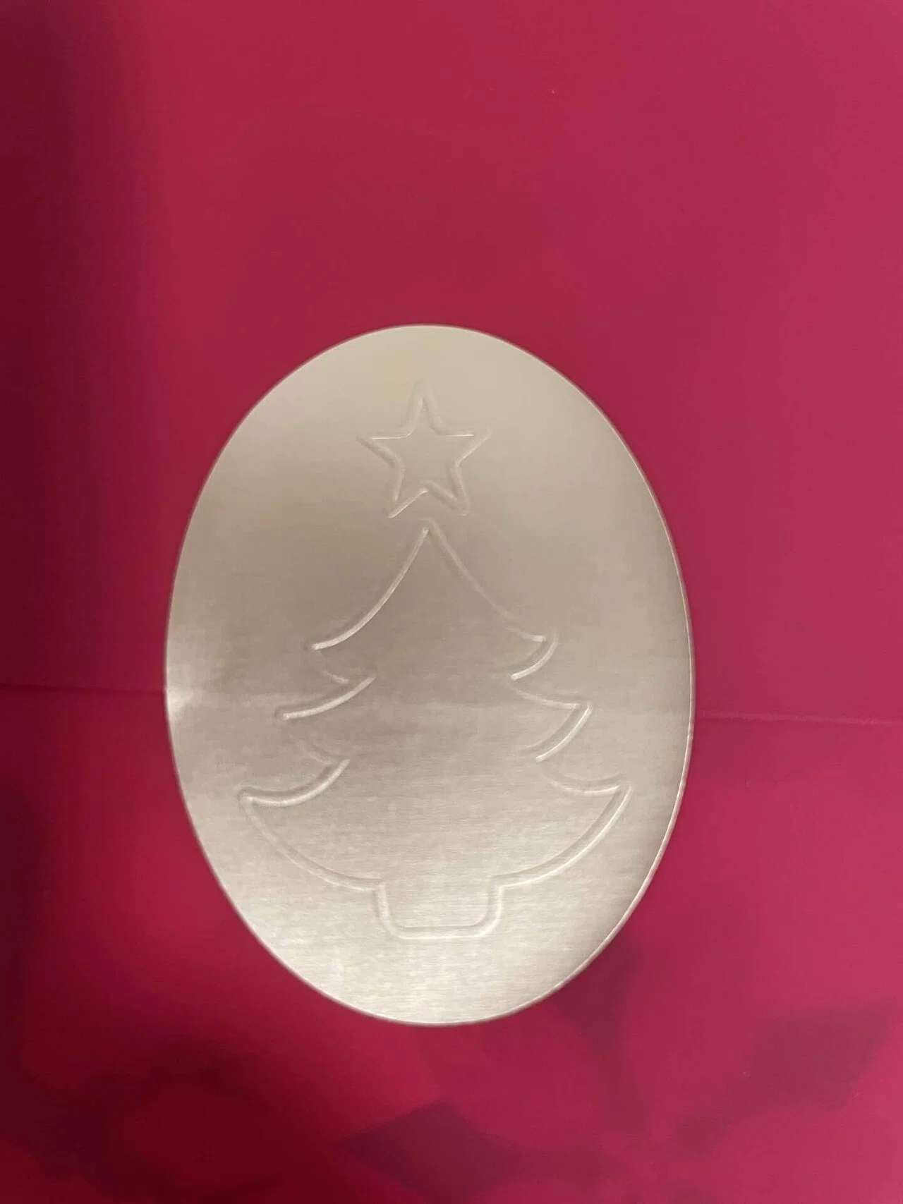 サンタさんからのお手紙が届きました🎅｜はれな