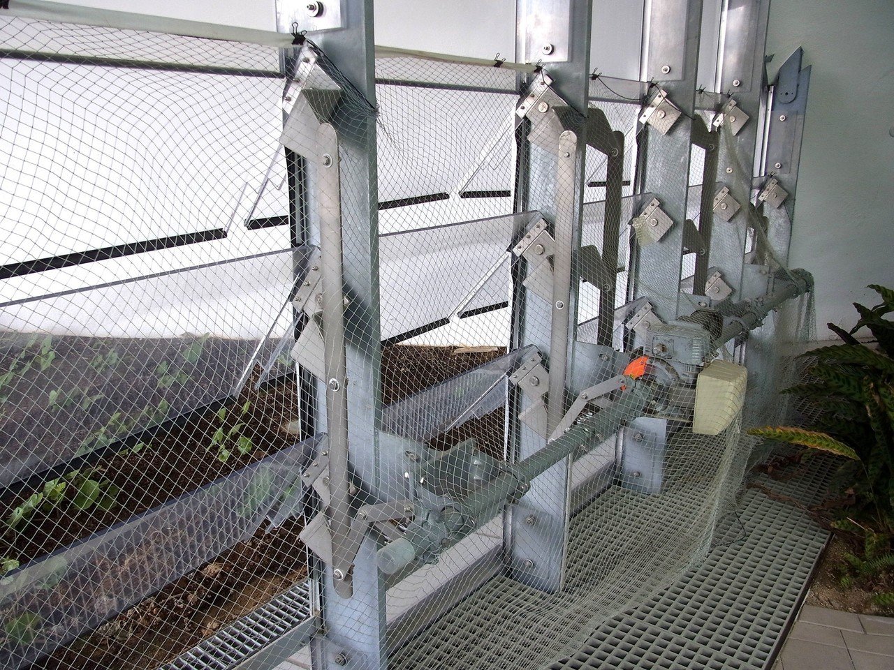 うねる大地 ぐりんぐりん 建築物語６ ぱなおとぱなこ Note