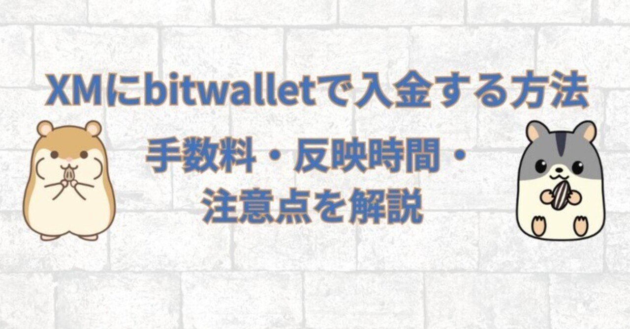 🚀 XMの入金はこれ一択！bitwallet（ビットウォレット）で爆速・手数料無料でスタートダッシュ！｜ハム吉（海外FXに関する有益な情報を発信）