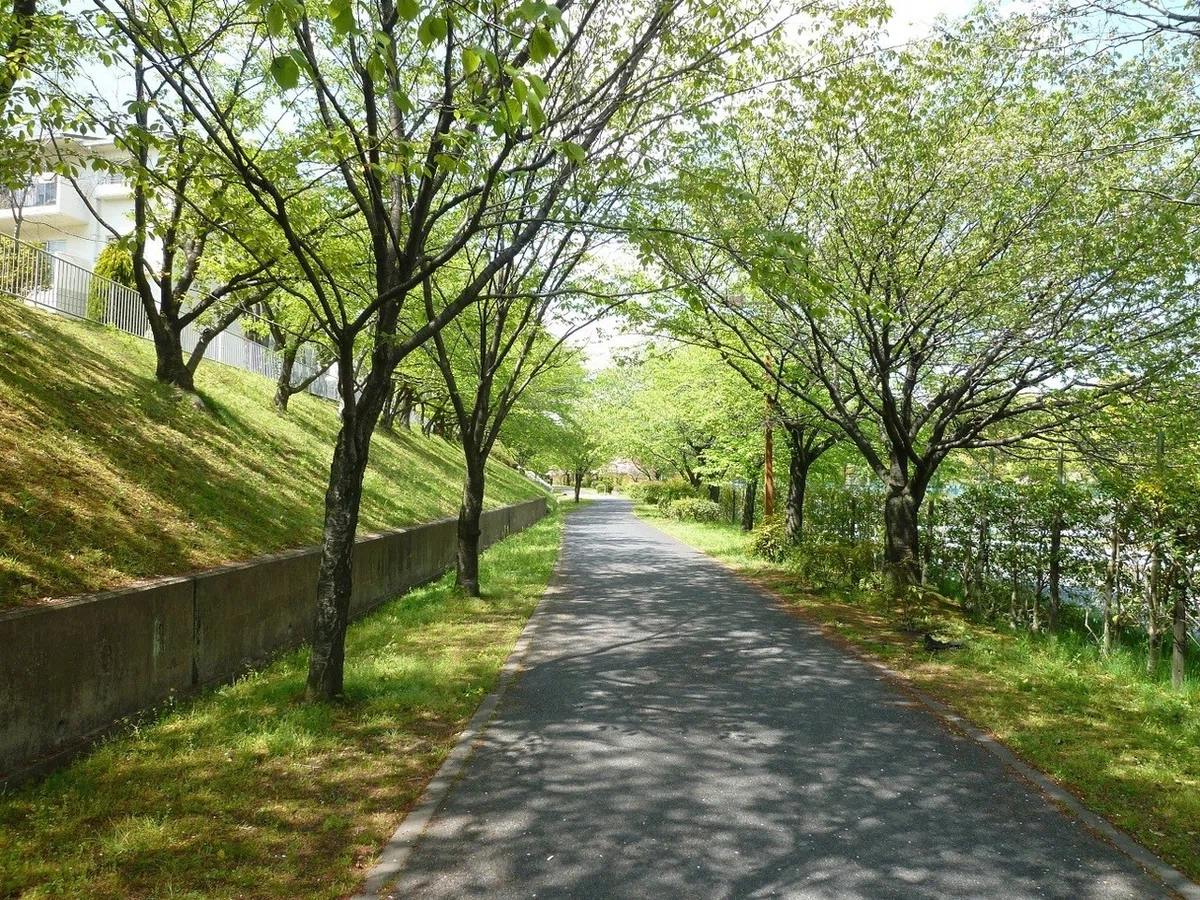 画像3
