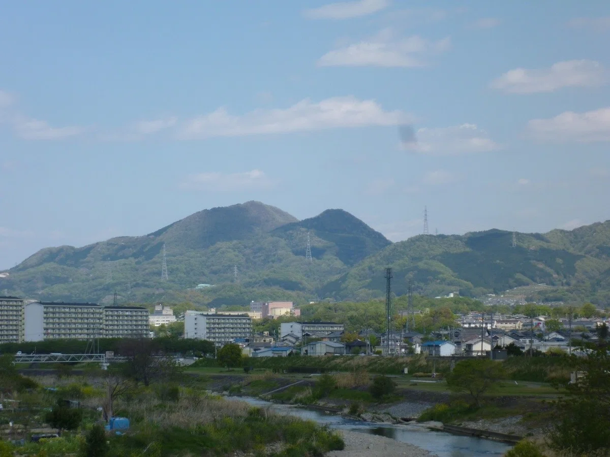 画像8
