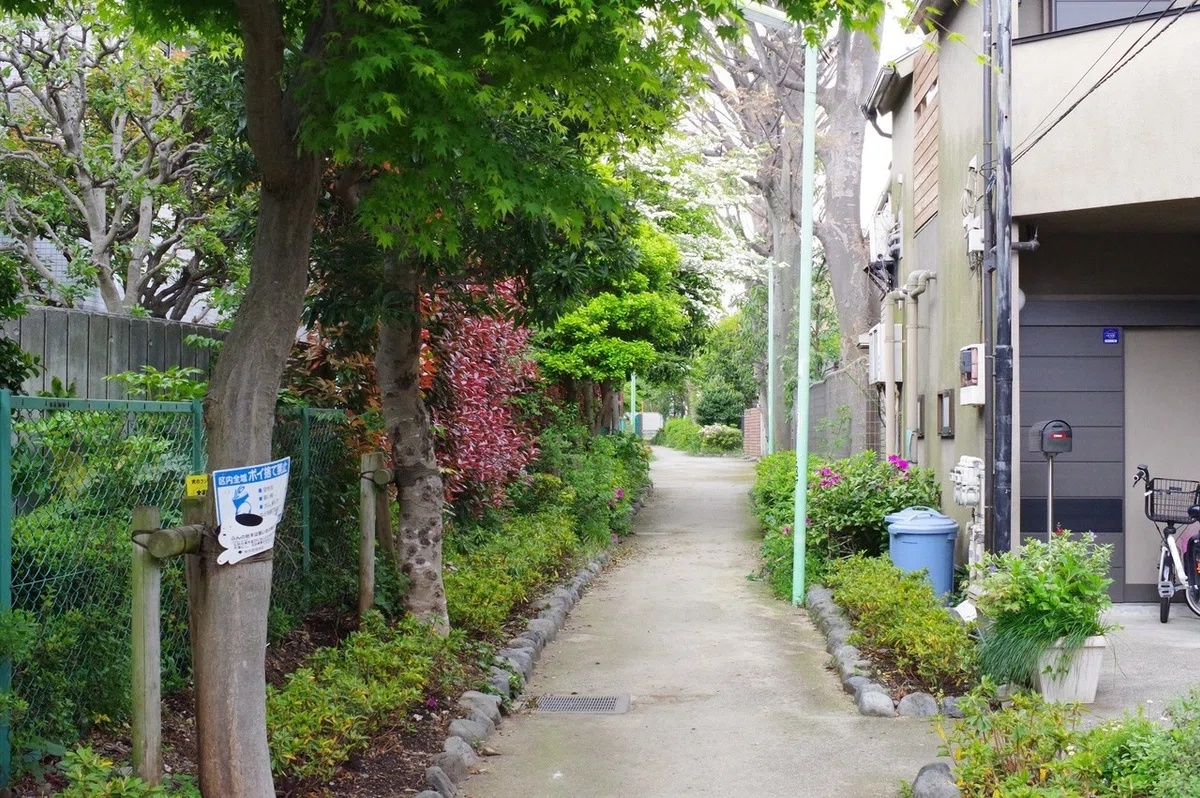 画像9