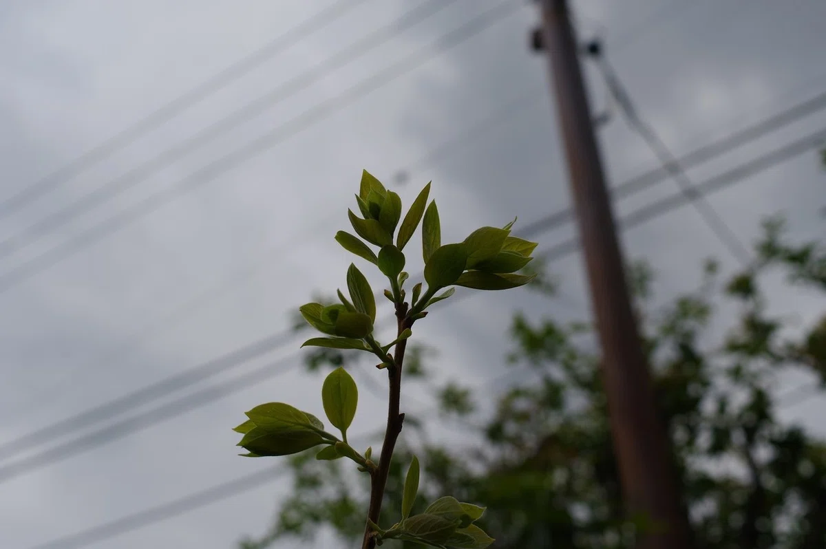 画像12