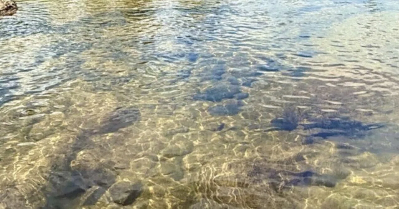 川を囲い込むと、なぜ町は弱くなるのか――治水の進化が生んだ、もう一つの問題|さえもん園 よしき