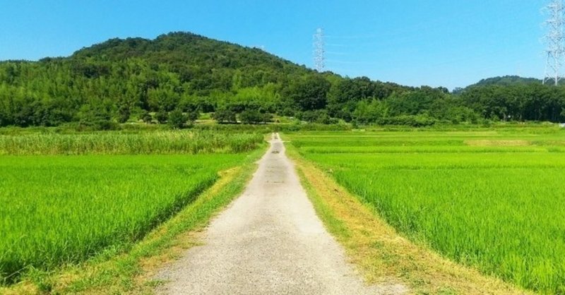 重松清 疾走 個人的にもう一度向き合わなければならない本 コアラ3世 Note