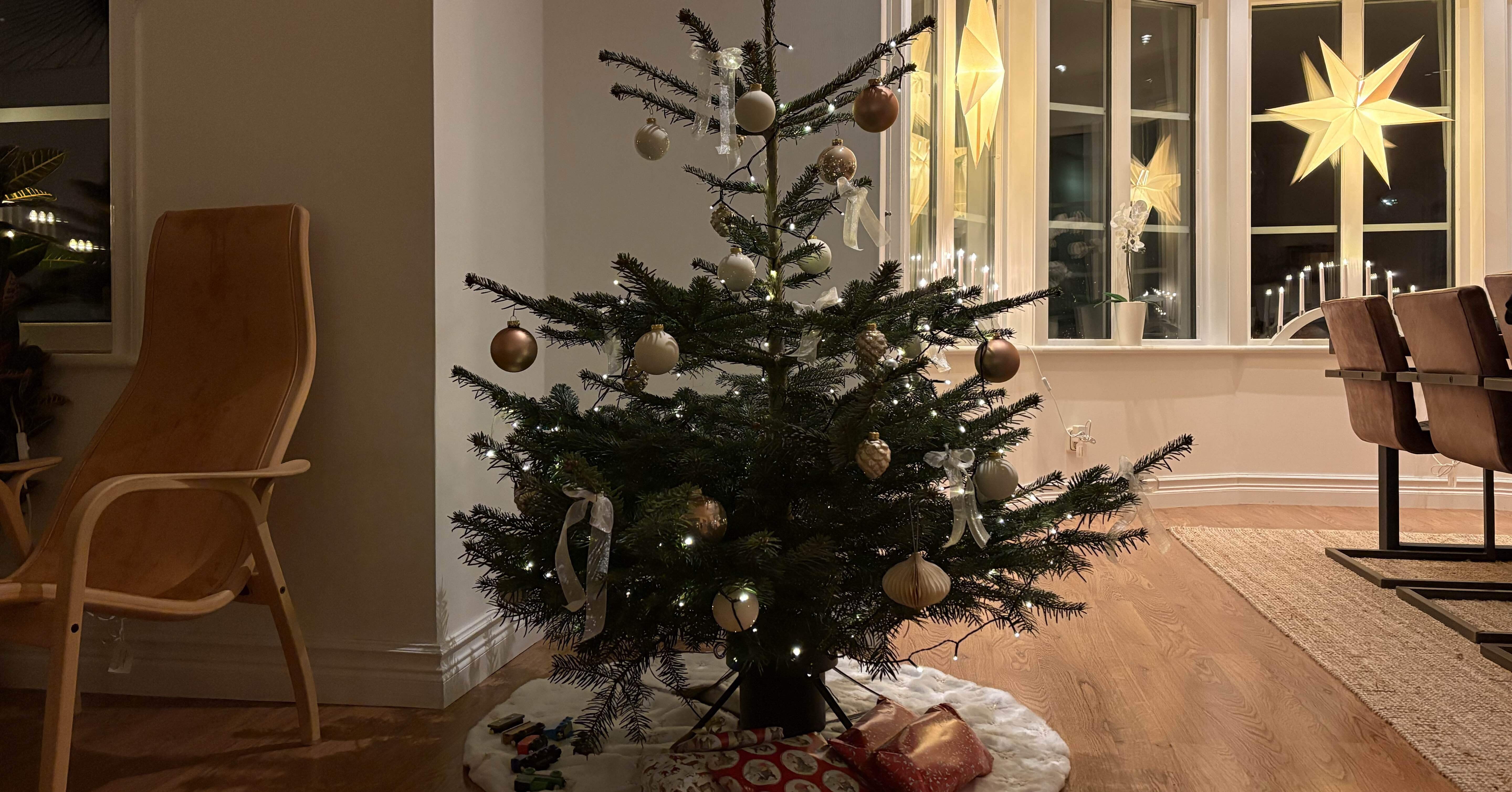 スウェーデンのふつうの生活日記】クリスマスプレゼントの横に並べられ