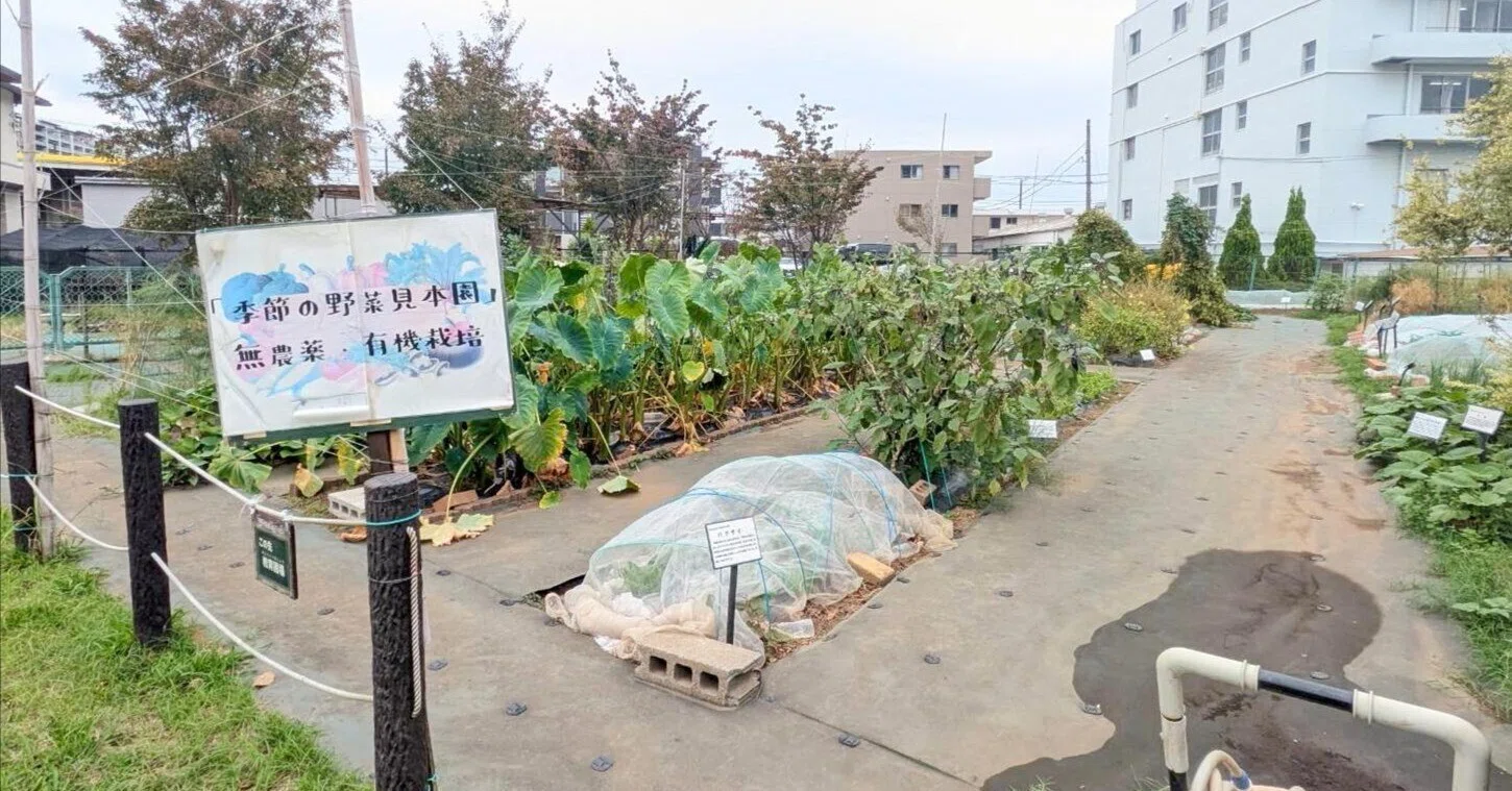これが“見本”とは驚き」公園内で見つけた「謎の空間」担当者に聞くと