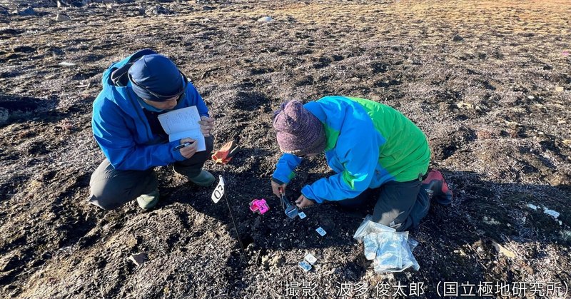 グリーンランド・北西部ケケッタ村での現地調査2025②