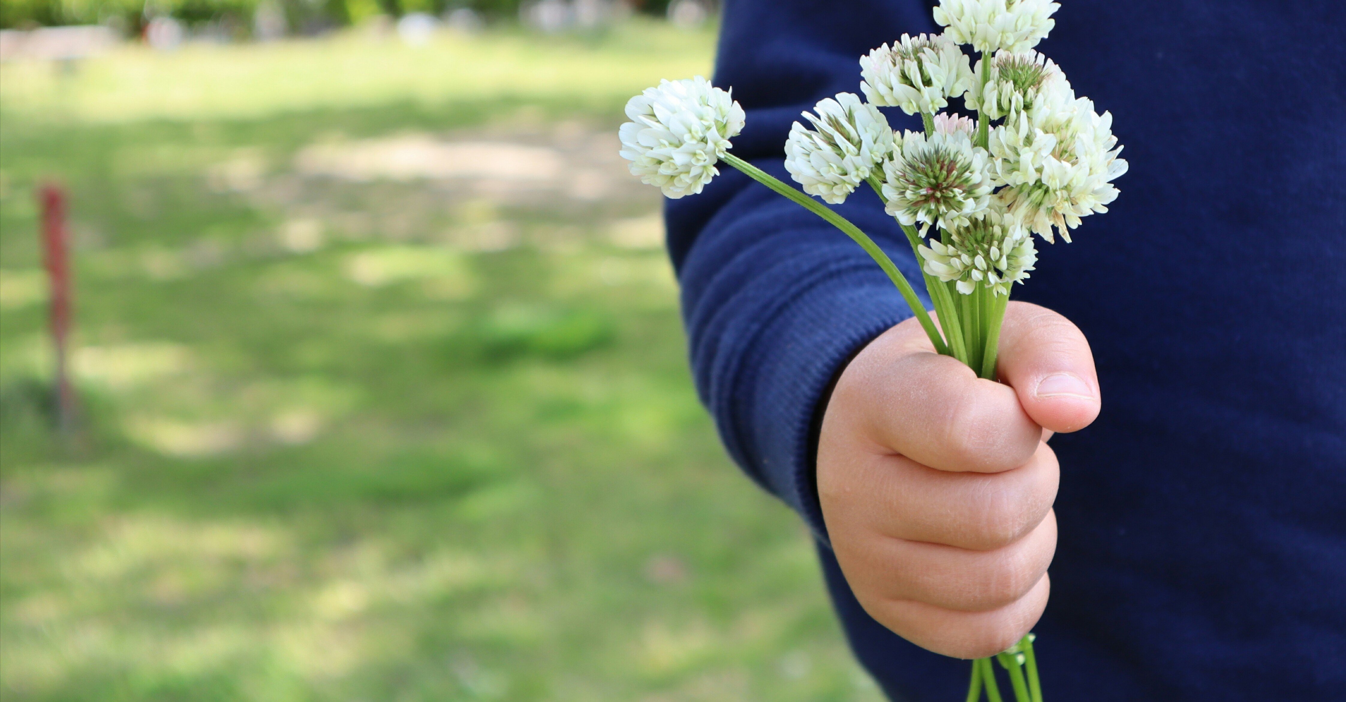 Quarantineが始まって一カ月半カナダ トロントでの暮らし May In Canada Note