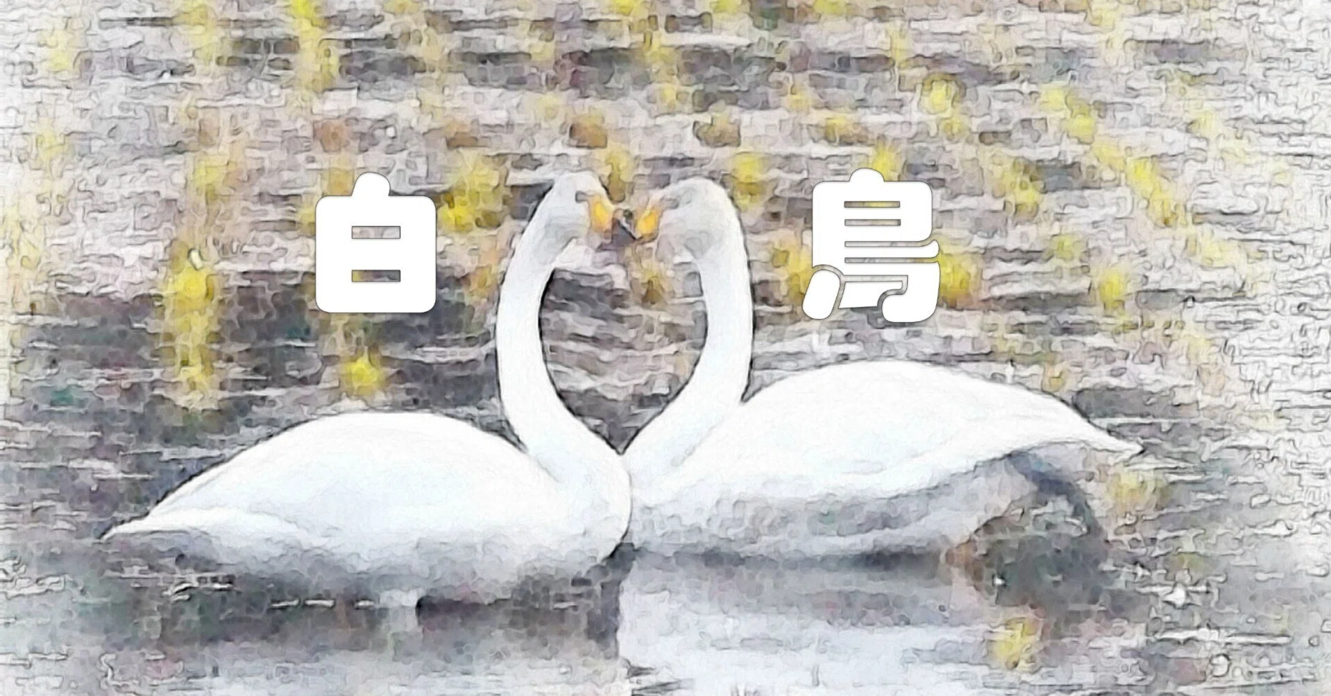 飛来した白鳥（水彩画風）｜taka