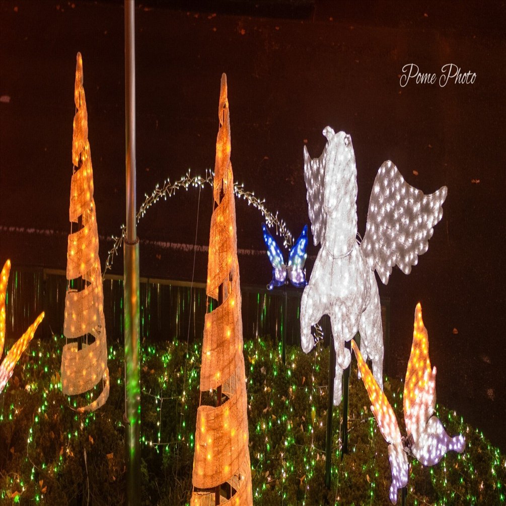 クリスマスイルミネーションの季節がやってきた♪｜ぽめ