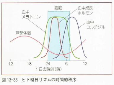 概日リズムから知る睡眠の重要性 テニスレクリエーションコーチ Note