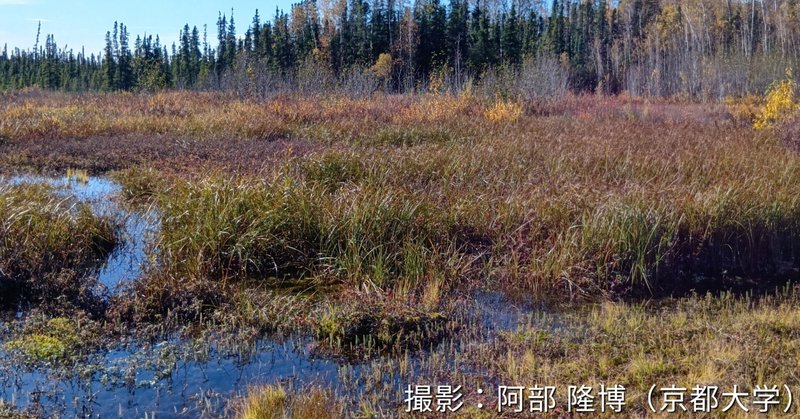 人間圏への影響が顕在化する陸域環境変化に関する広域的可視化とその活用