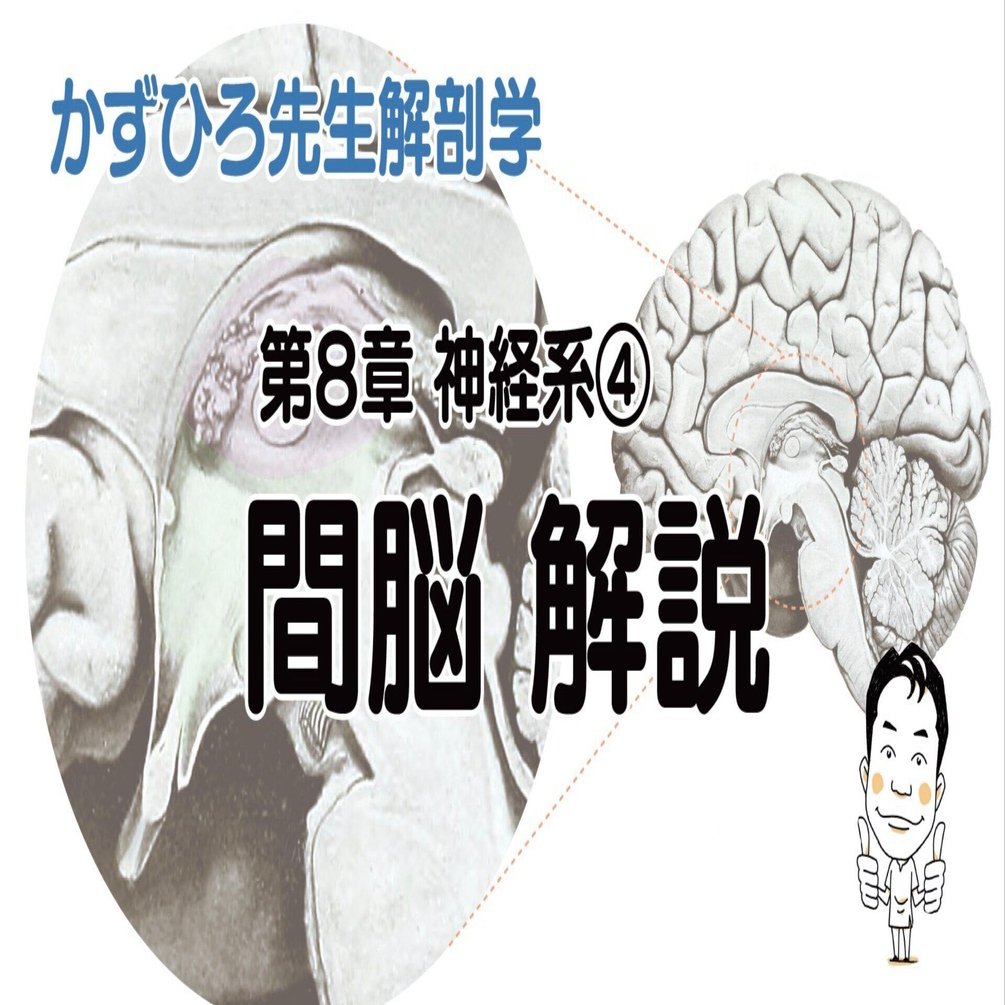 かずひろ先生 オンライン解剖学 神経系④ 間脳 12月16日 19時〜｜かず