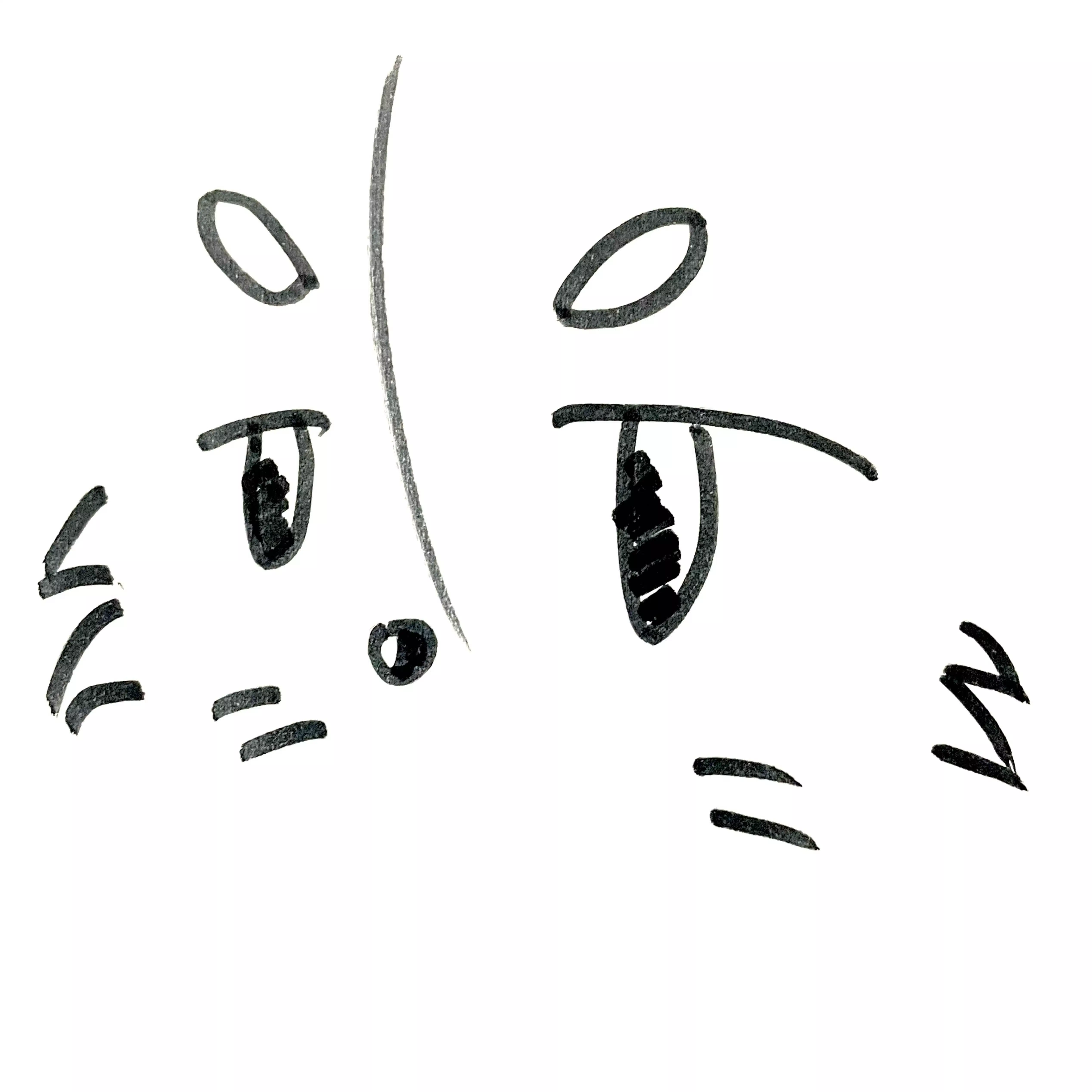 トウジョウトシキ