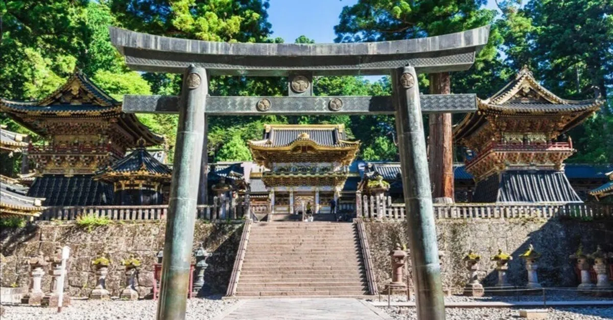 神紋がルーツ!?水戸黄門でお馴染みの徳川の家紋はなぜ三つ葉葵なのか