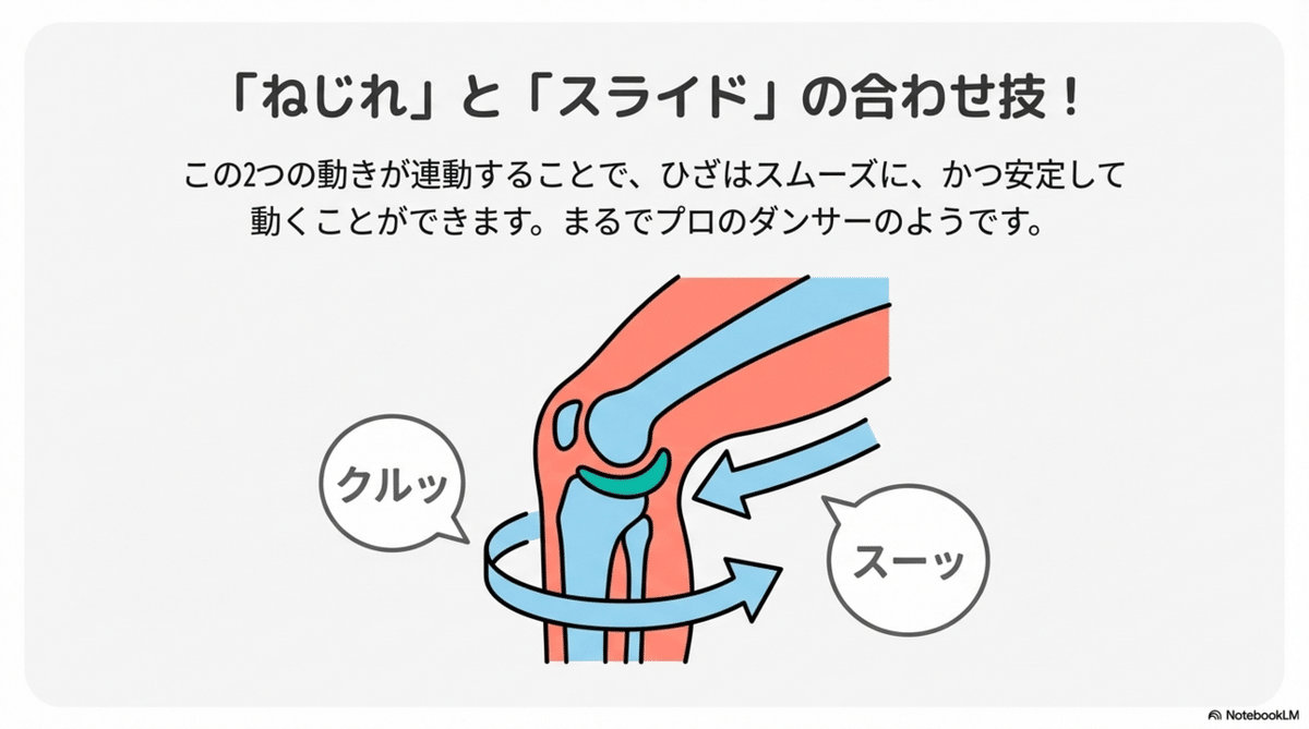 膝を曲げると「スネの骨」と「半月板」はどう動く？｜AT+