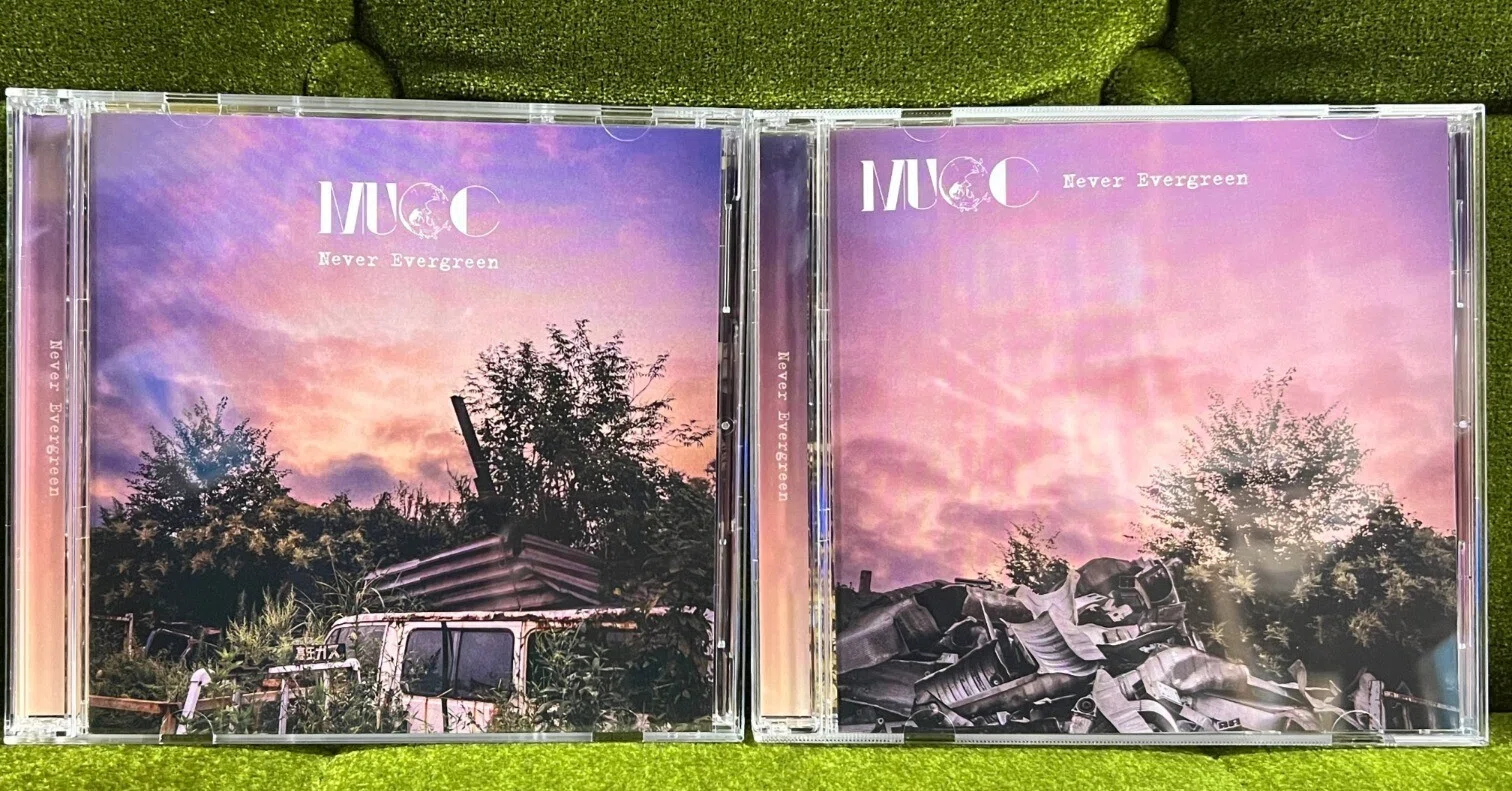 【希少】きゃない インディーズCD『evergreen』 単品（サインなし） 割り切らないまま続けていく―MUCC「Never Evergreen」｜カスミ| アート