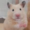 アリア社長