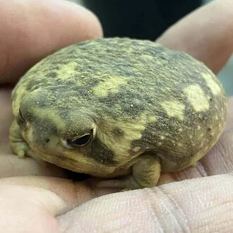 栄一