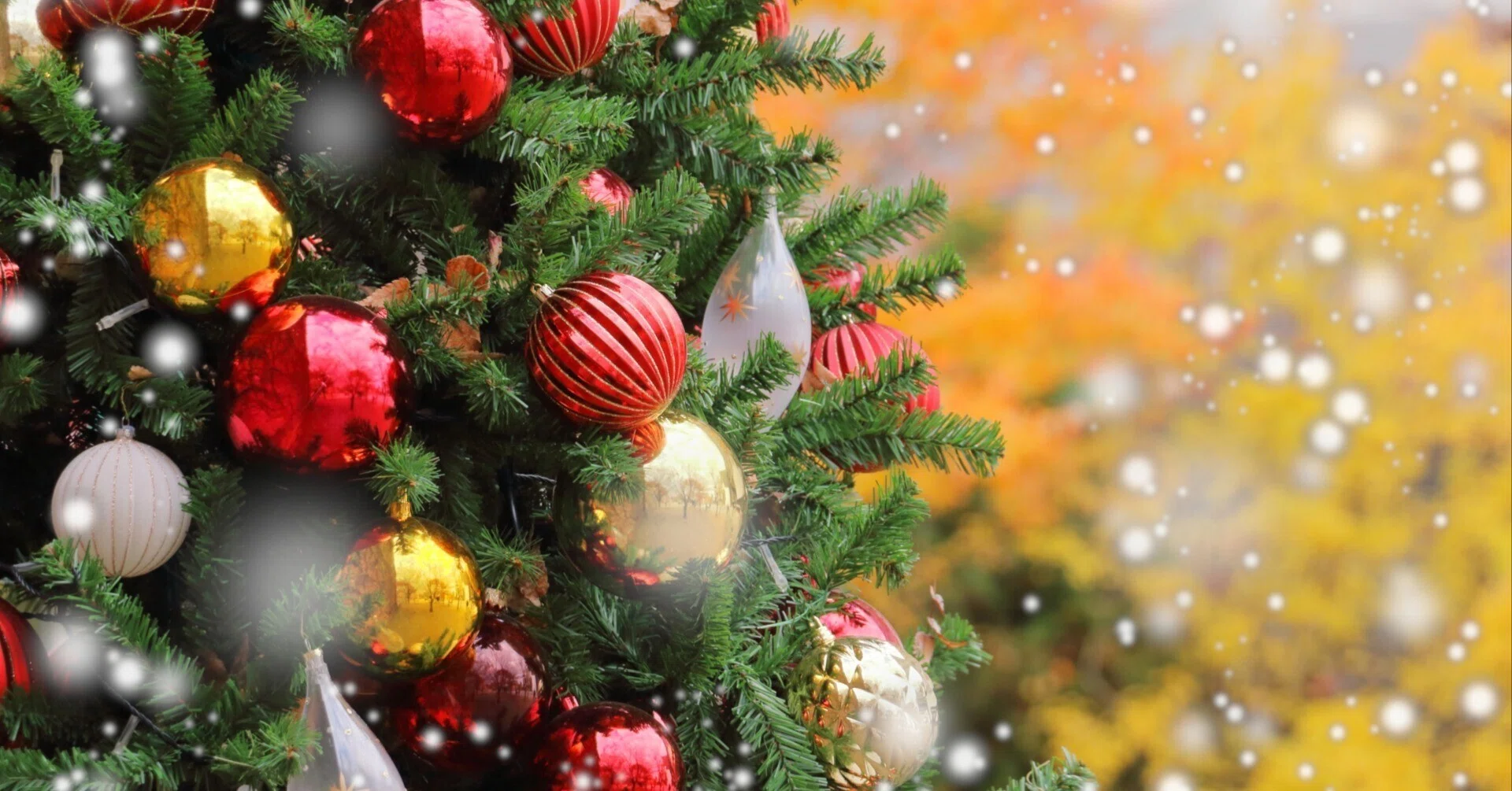 リビングが豪華に！180cmクリスマスツリーおすすめ10選│緑or白？色と