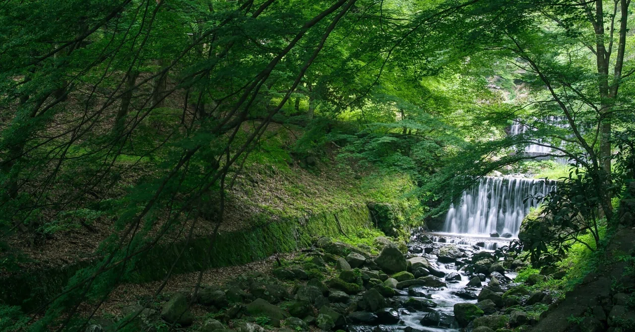 Looking at the Effects of Meditation from Scientific Research｜mk