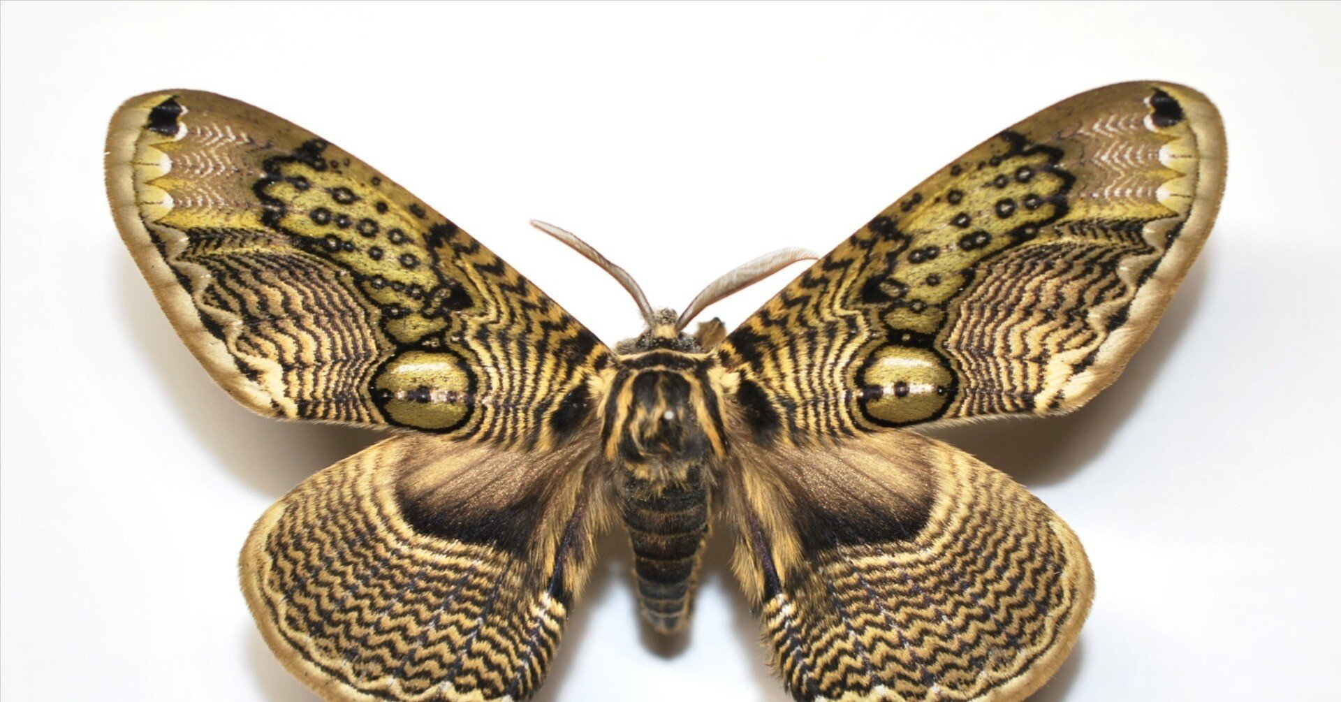 56ed2f1e629487b193ad4e58267dc7 56ed2f1e629487b193ad4e58267dc7