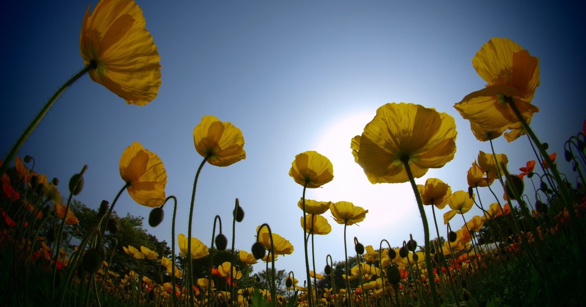小さな世界をのぞいてみよう！ #09 作品づくりに積極的に活用…「アート
