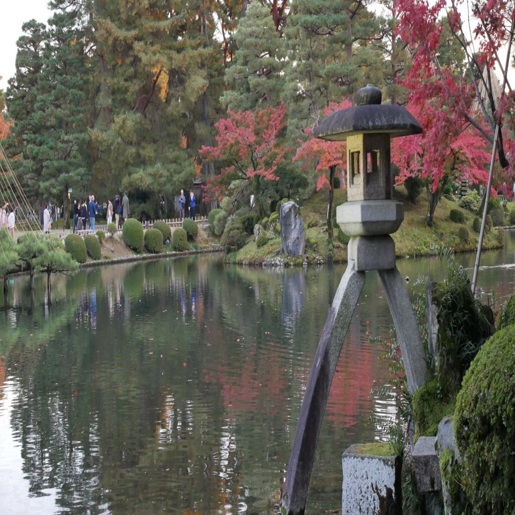 641 黄昏の兼六園 紅葉の庭園を歩く。｜ミヤコカエデ（Miyako Kaede)