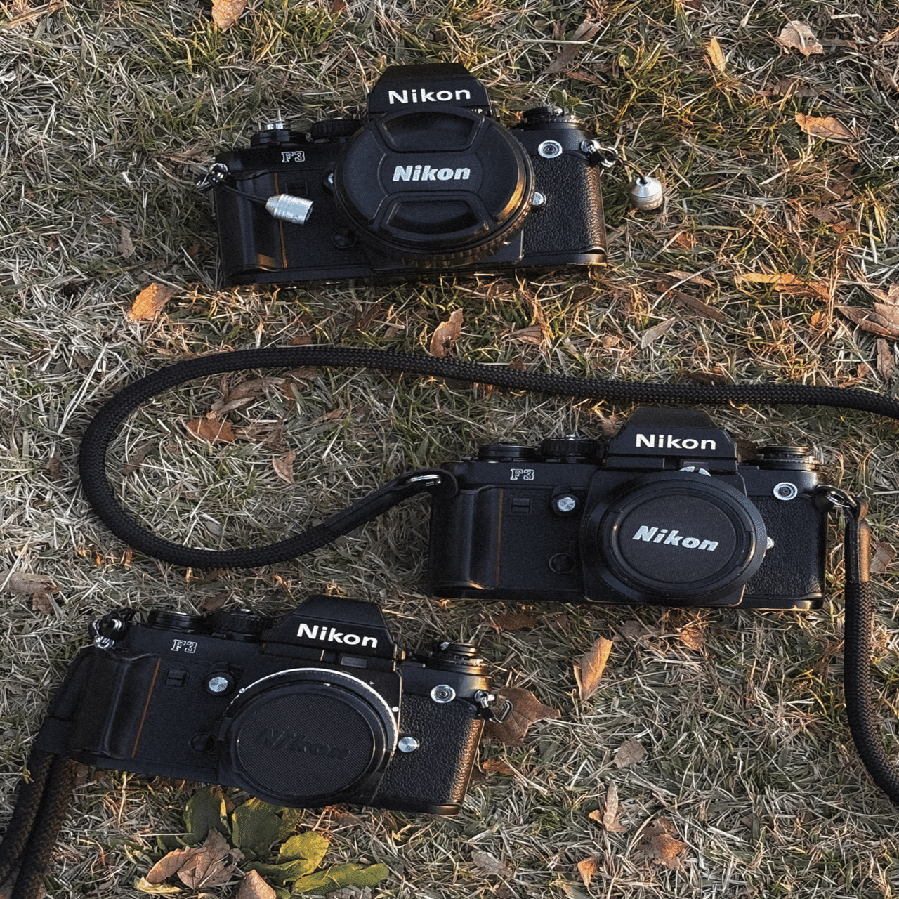 最高のフィルムカメラ｜ᴘᴀᴍᴇ̌ᴛ̌/ ⓉⒶⓀ